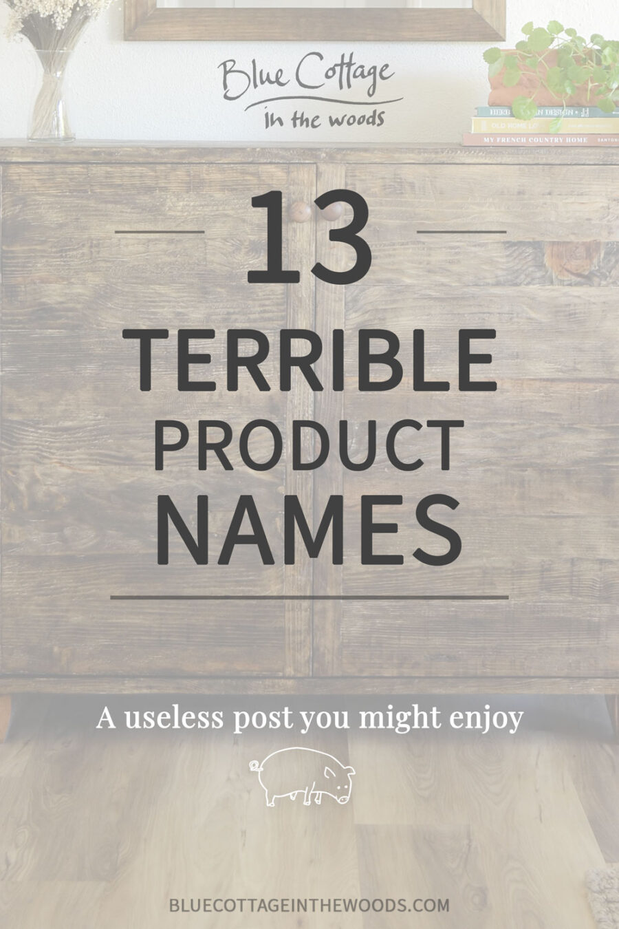 13 Terrible Product Names