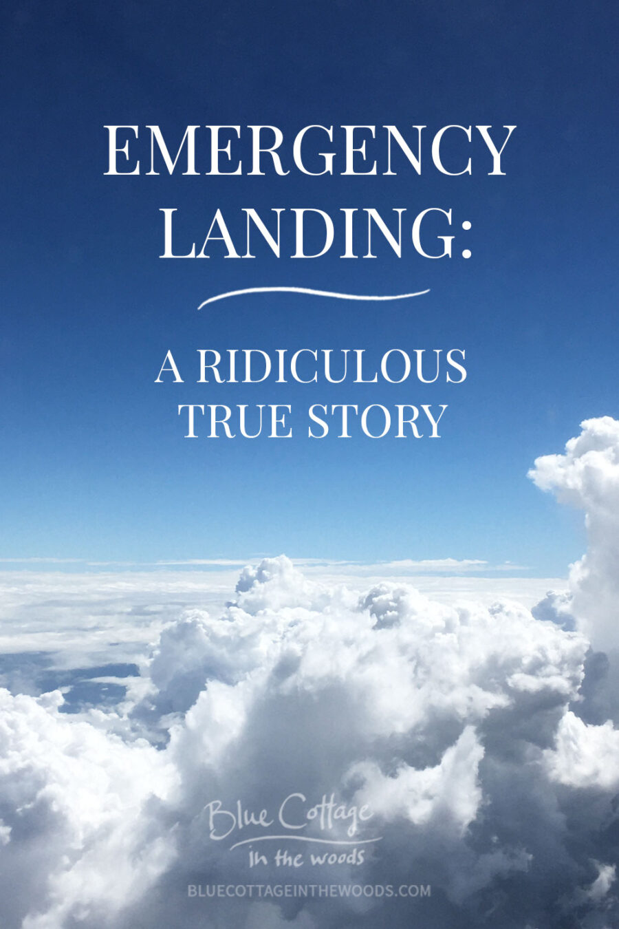 emergency-landing-true-story